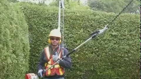 ToolBalancer    User Report