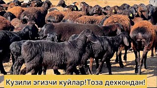 :   ! ! 978539798 944659797