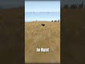 3 Rust Tips That You Need To Know 2