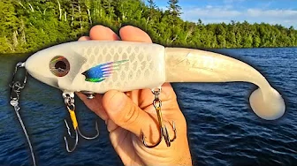 Swimbaits & Topwaters To Target New Moon Monsters!!