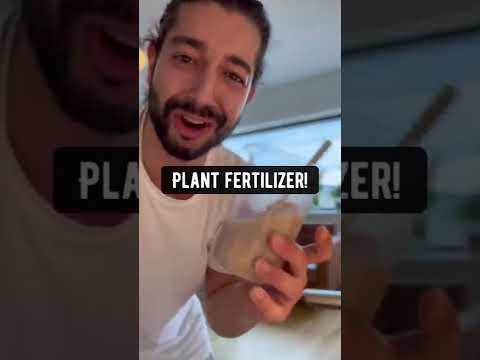 Video: Melk als meststof - Planten voeden met melk