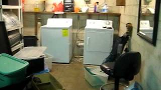 MVI_4502.AVI