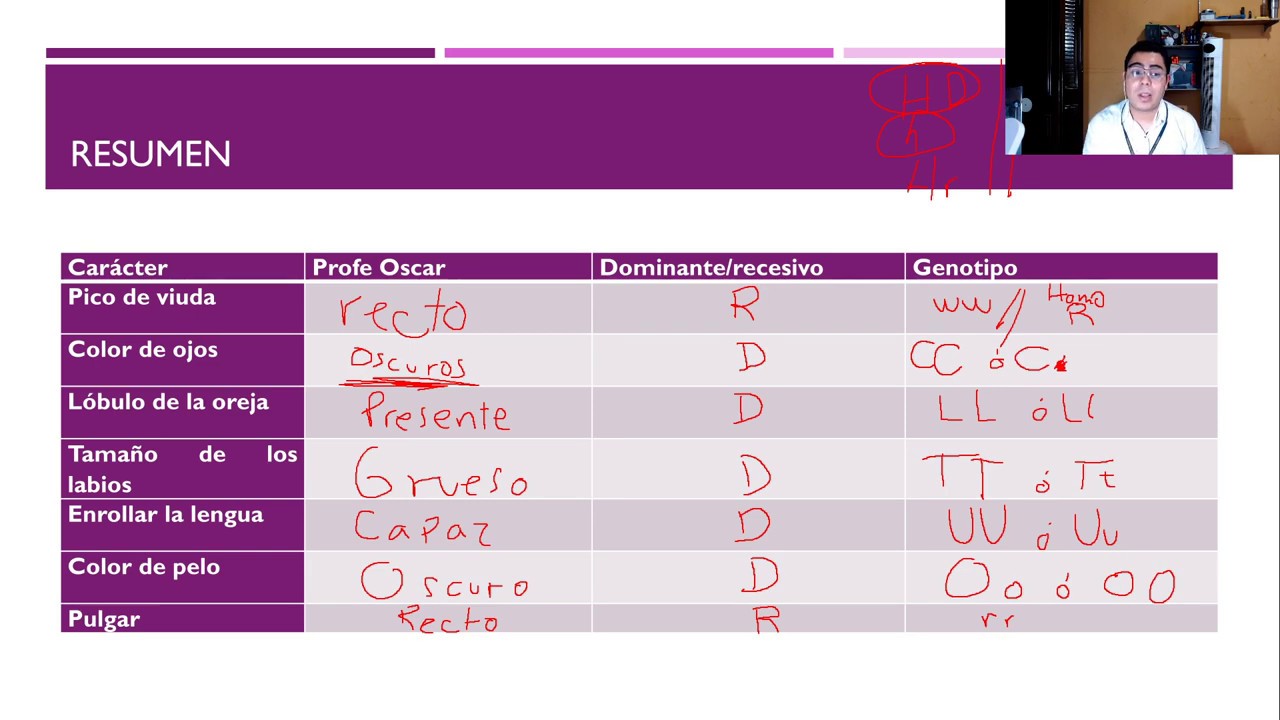 Carácteres Dominantes y Recesivos Genética Mendeliana