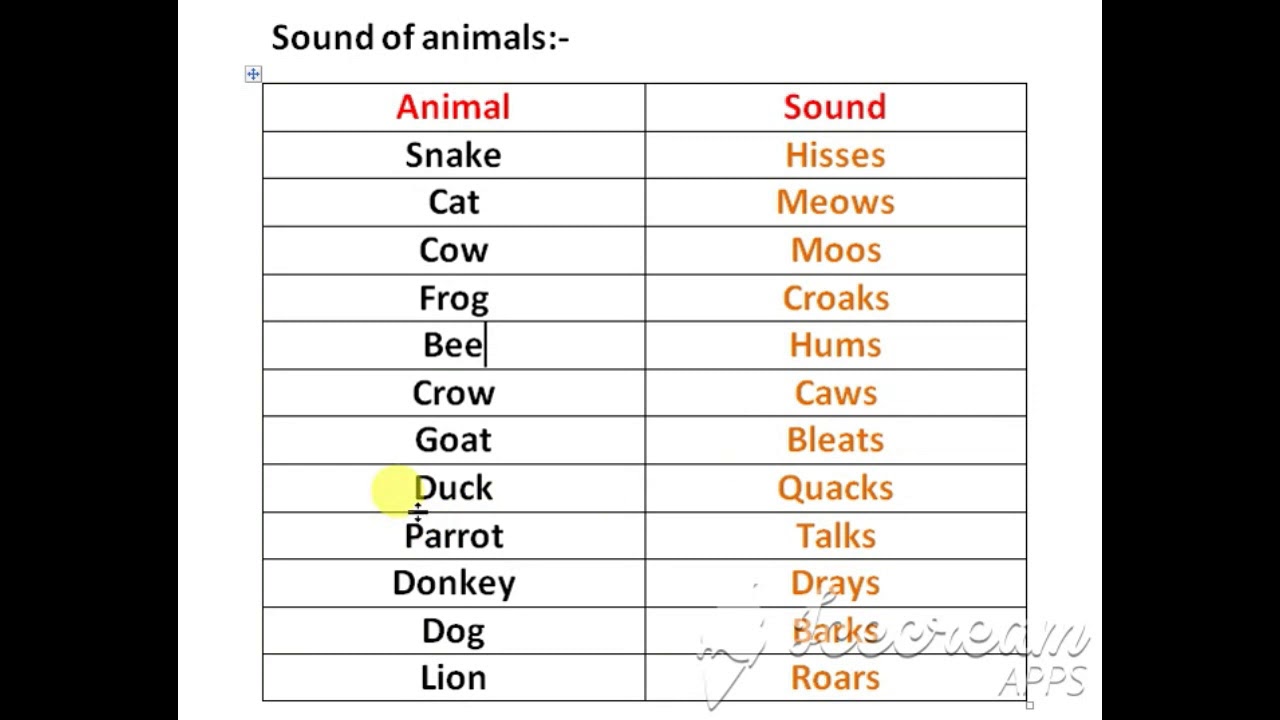 ANIMAL AND THEIR SOUND #TET #CTET #ENGLISH ALL STATE TET EXAM - YouTube