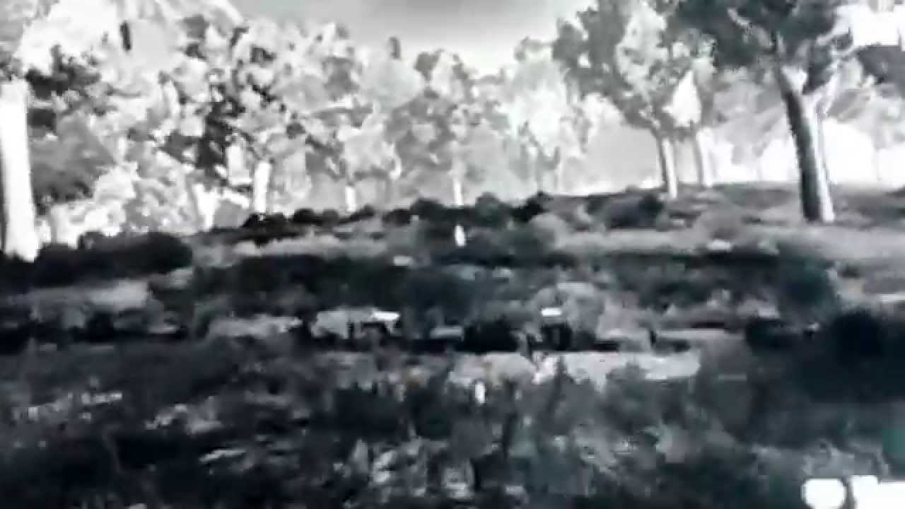 Apocz The Hunted Diaries-Meet Fake Lego