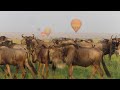 The Great Wildebeeste Migration Safari Masai Maraрџђѕ The Great Wildebeeste Migration Safari Masai Maraрџђѕ
