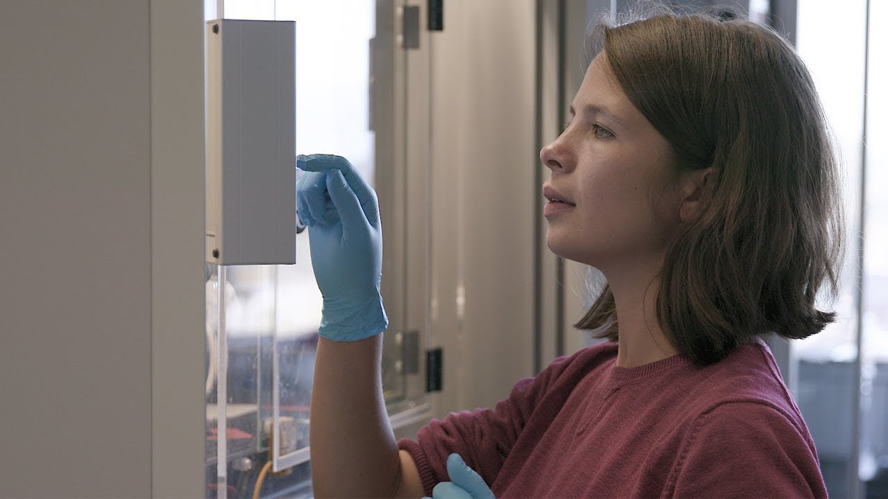 Portrait of Excellence Scholars: Michelle Rüegg - YouTube