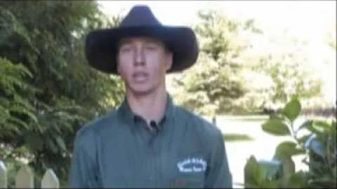 Brad Scott's Bull Riding Clinic Testimonials NZ