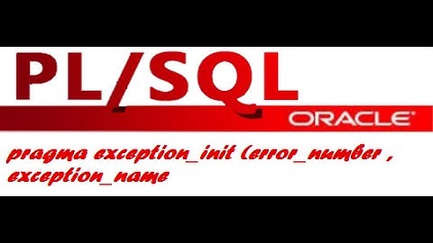 How to handle errors with PRAGMA EXCEPTION_INIT in Oracle plsql developer.