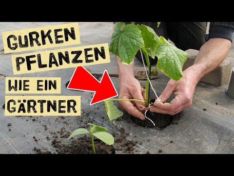 Video: Einen Rustikalen Anbauen