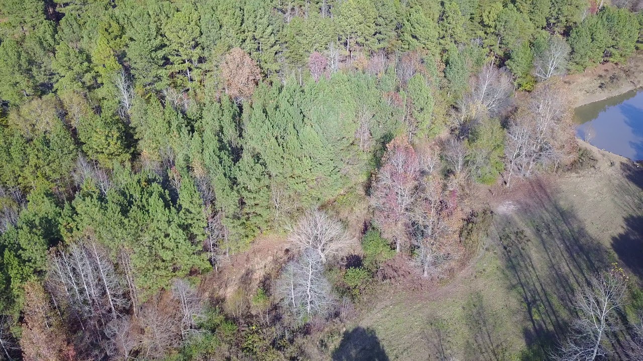 Patterson springs nc christmas lights