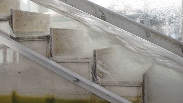 Skimming flow over porous pooled steps