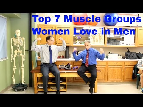 Quantity of Muscle Tissue in males Versus Women