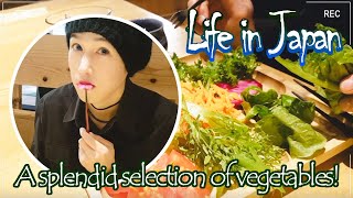 [Vegan Feeding Frenzy] A splendid selection of vegetables! by The Taisei Showタイセイショー 41 views 5 years ago 6 minutes, 24 seconds