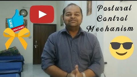 Postural Control Mechanism from physiotherapy point of view #neurorehabilitation  #neurorehab