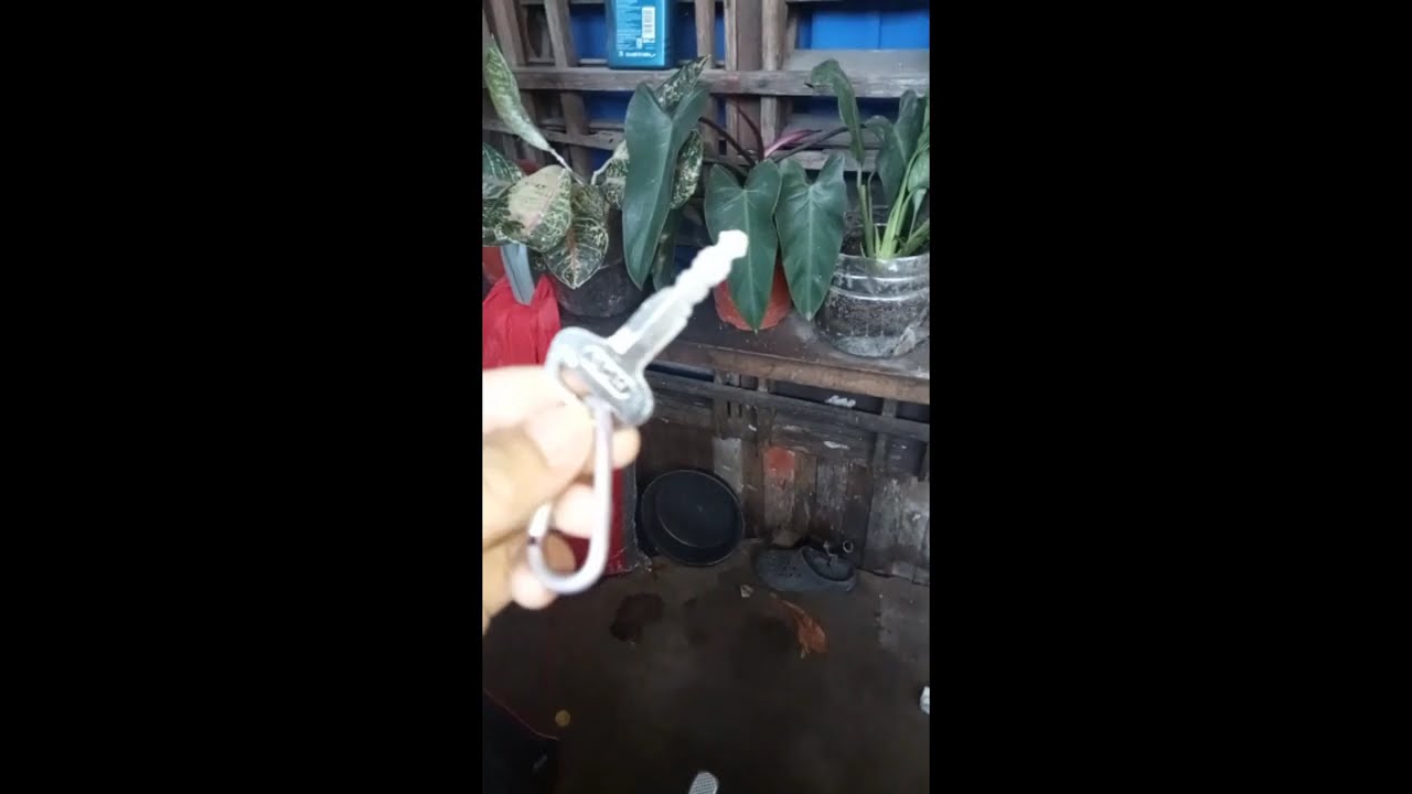 Rusi surf 125 updated issues! 