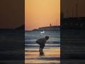 قشرت الكلمنتينا اجمل حالات واتس اب اكسبلور تصميمي لايك ترند Trending حالات واتس تابعوني قشرت الكلمنتينا اجمل حالات واتس اب اكسبلور تصميمي لايك ترند Trending حالات واتس تابعوني