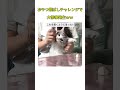 おやつ飛ばしチャレンジで大惨事発生ww #youtubeshorts #おすすめ #short