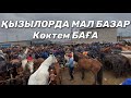 ҚЫЗЫЛОРДА МАЛ БАЗАР 2.03.2021