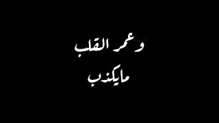 احبك كذبة بيضا - غردها