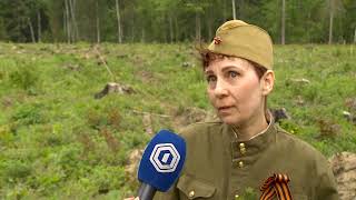 (12+) Сотрудники «Северных электрических сетей» посадили «Лес Победы» (12+) Сотрудники «Северных электрических сетей» посадили «Лес Победы»