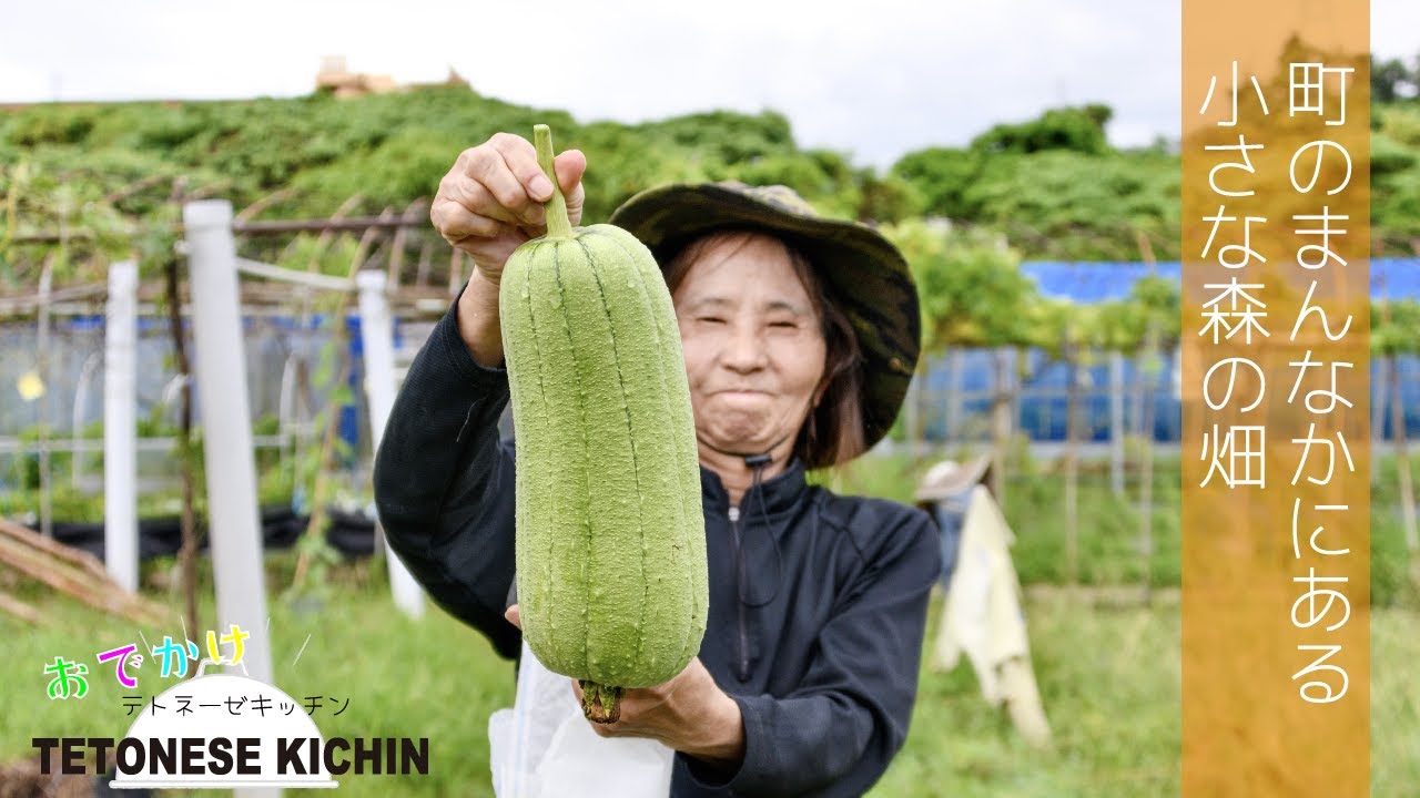 【生産者さん】うるまの農家さん×野菜ソムリエプロ#サラダヘチマ