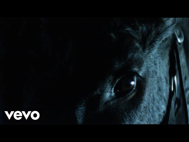 Don Broco - Nerve