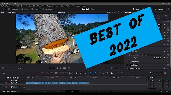 Tree Removal Compilation, Best of 2022
