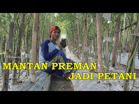 Video: Seorang Petani Yang Terampil Atau Programmer Berkacamata. Mode Masa Lalu Untuk Pria Dengan Palu Dan Arit