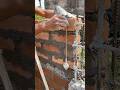 Ett ki diwar kaise banaye? 🧱 Brick Wall Construction Tips for Beginners #construction #brick #tips