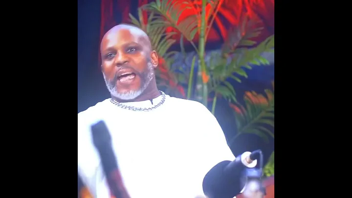 I love dogs more than people