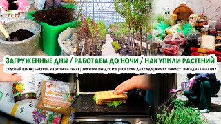 ВЛОГ❤️Закупка продуктов🍅Работаем до поздна💪Садовый центр🤯Покупки для сада🌹Гриль Wollmer🥪Сажаю малину