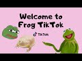 This is your personal invite to Frog Tiktok