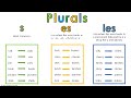 Understanding Plurals: Adding S, ES, and IES