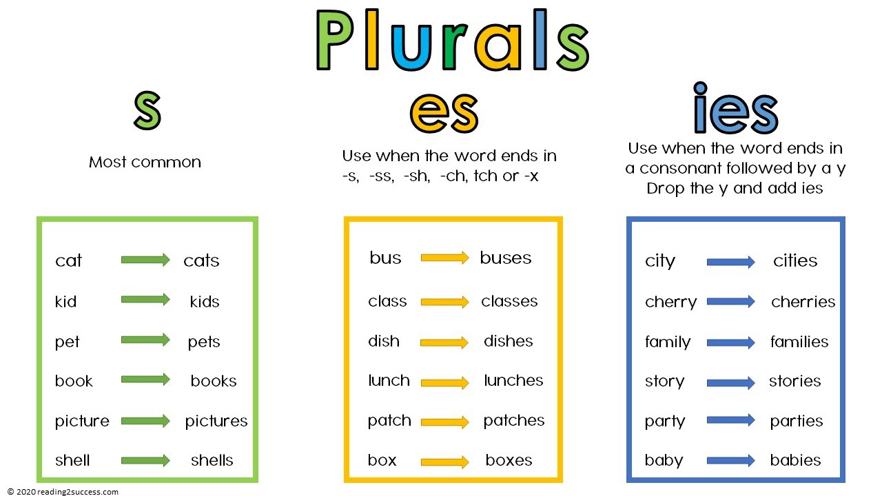 How To Teach Kids Plurals When To Add S Es Or Ies Easy Rules Fun 