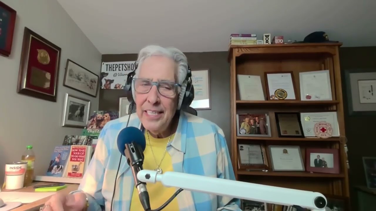 Выставка домашних животных 24 января