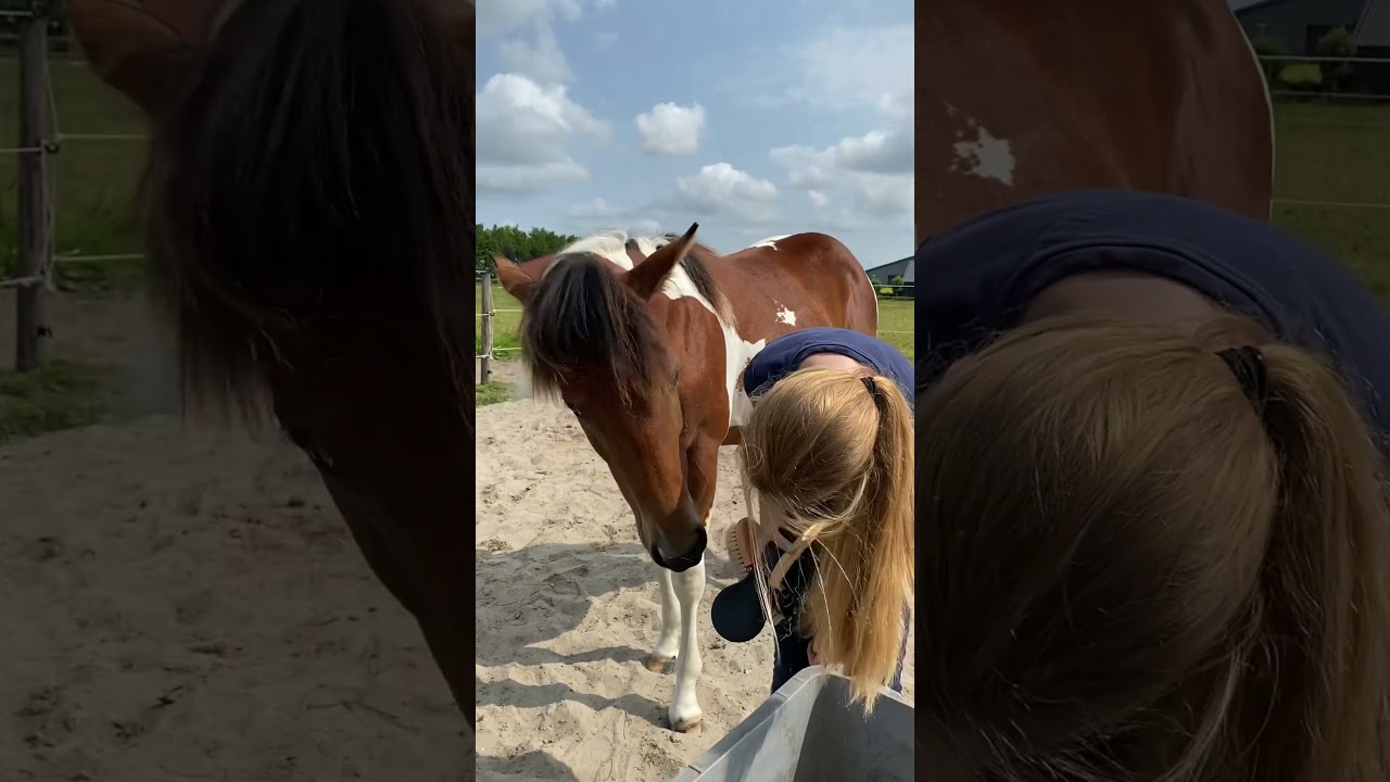 Dakota toen hij pas 1 jaar was 💕