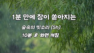 잠이 잘오는 숲속의 빗소리 l  5분후 어두운 화면