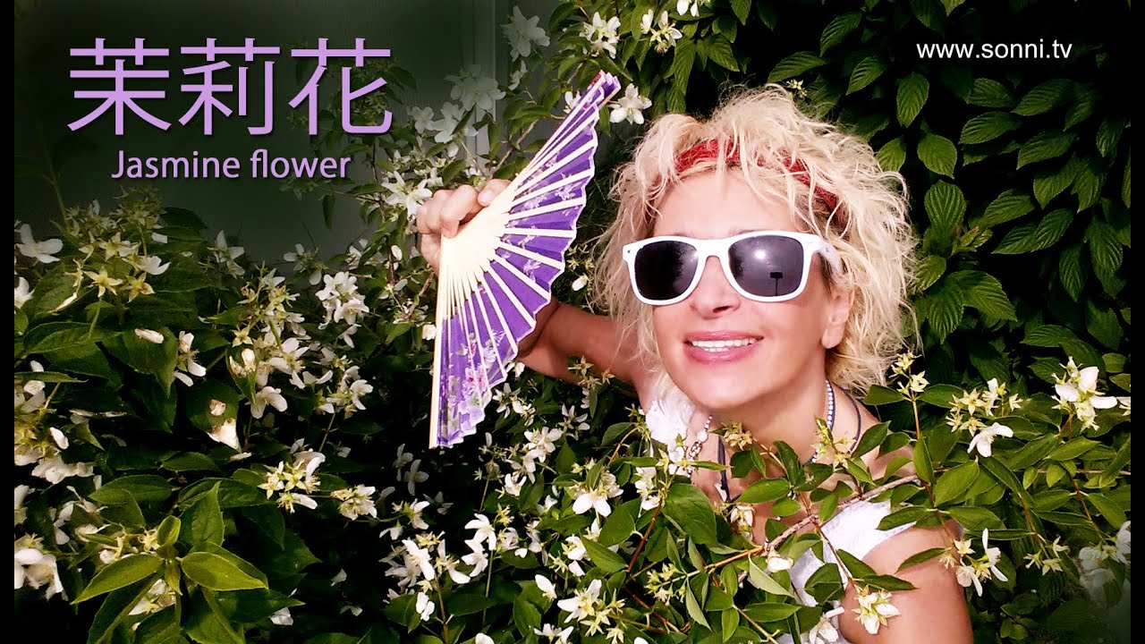 茉莉花- Mòlìhuā (Jasmine flower) – performed by SONNI - YouTube