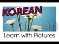 Learn Korean - Plants Vocabulary