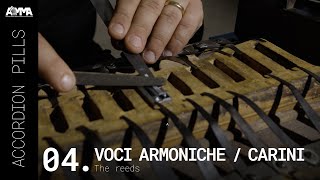 ACCORDION PILLS | The reeds | Voci Armoniche & Andrea Carini