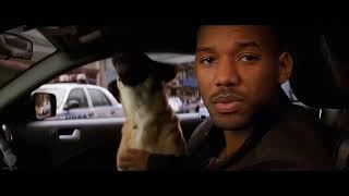 I AM LEGEND 2 First Look Teaser Trailer 2024 Will Smith New Movie Concept vidiget