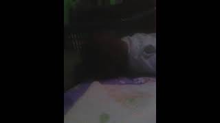 Cilik Ane Asna 2