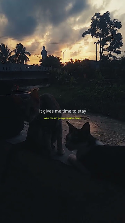 The Second You Sleep #lyrics #sadsong #lovesong