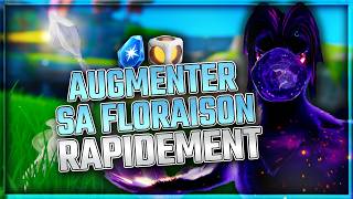 Remplir Rapidement Sa Floraisonconseils Astuces Aniimo