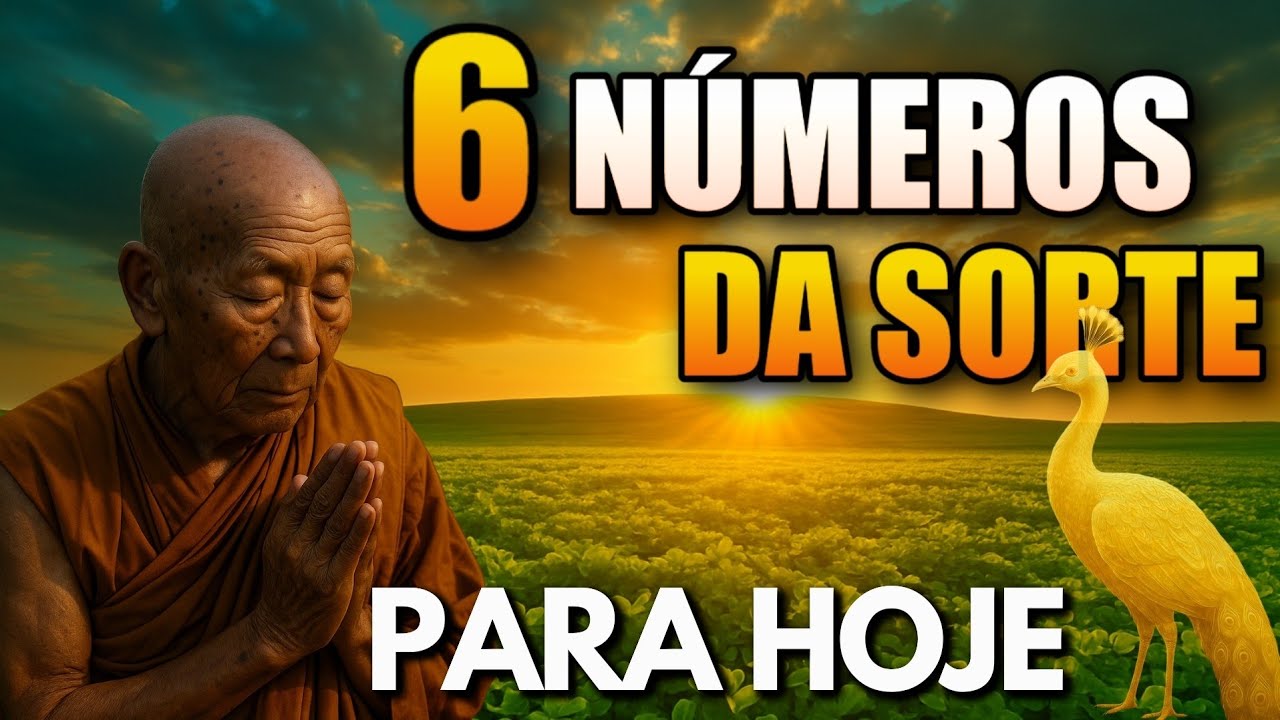 VEJA os 6 NÚMEROS da SORTE de Hoje! - YouTube