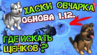 Нашел ХАСКИ и ОВЧАРКУ! Где искать редких щенков после обновы 1.12 Last day on earth: Survival Нашел ХАСКИ и ОВЧАРКУ! Где искать редких щенков после обновы 1.12 Last day on earth: Survival