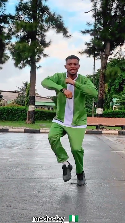 zinoleesky, Medosky ( kolo official video dance)
