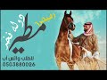 رفيحي مطير 2024 رفيحي مطير دوله فخر شيلات رفيحي مطير اداء حازم الوابصي 