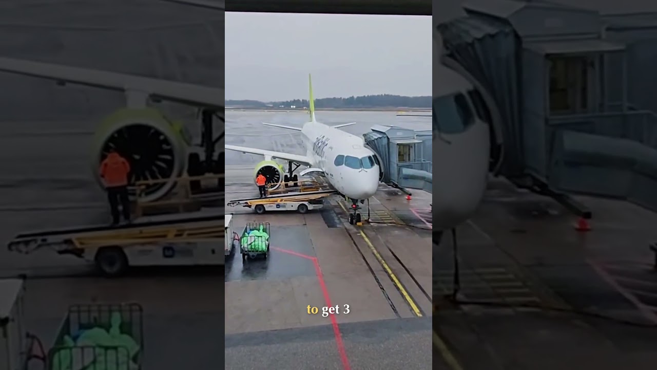 The Worst Tiktok Travel Hacks